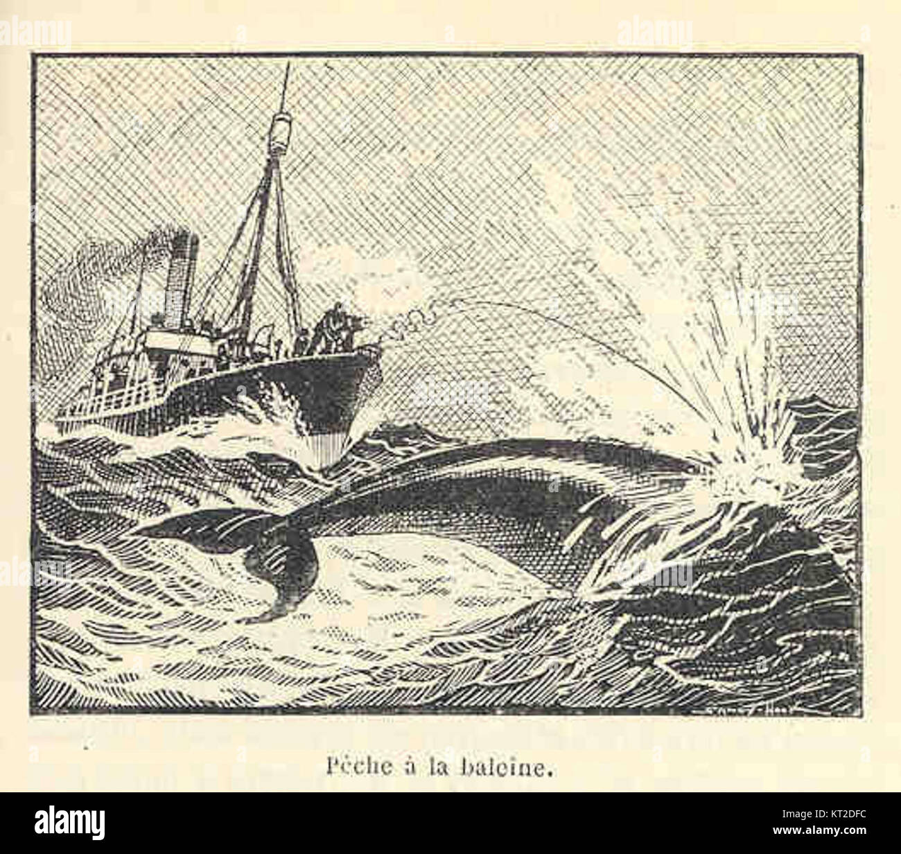 La Chasse La Baleine Une Histoire Maritime Au Pays Basque la-chasse-la-baleine-une-histoire-maritime-au-pays-basque